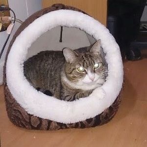 Meet your Posher, Monica